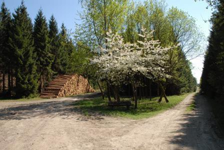 Pension Haus Talblick Winterberg Exterior photo